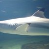 Ausflug Jesulo 20.09.2017 bis 24.09.2017