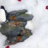 Clubabend - Weihnachtsfeier 01.12.2017