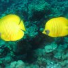 Clubsafari Hurghada 19.11.2017 bis 26.11.2017
