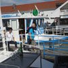 Mulatschak Neusiedler See 22.06.2018