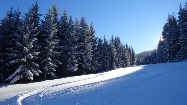 Hüttentage vom 11.01.2019 bis 12.01.2019