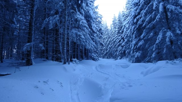 Hüttentage vom 11.01.2019 bis 12.01.2019