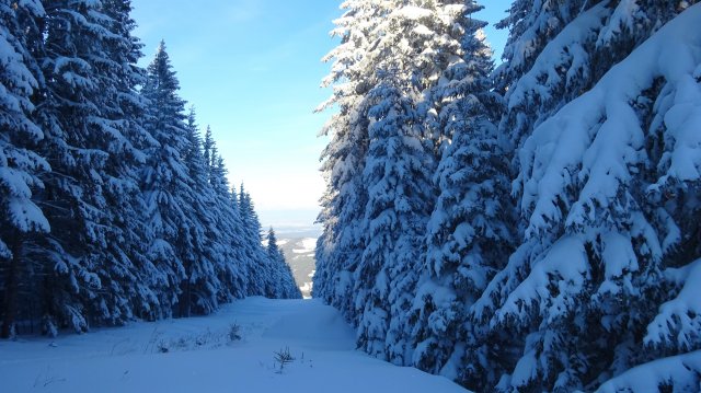 Hüttentage vom 11.01.2019 bis 12.01.2019